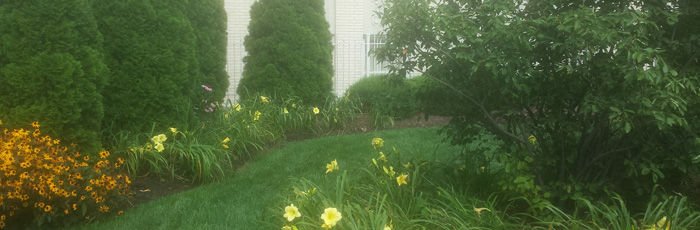 Green Roofing