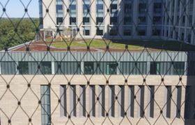 Green Roofing BJC